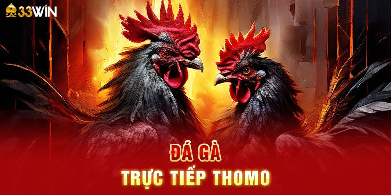 Giới thiệu loại hình đá gà trực tiếp Thomo