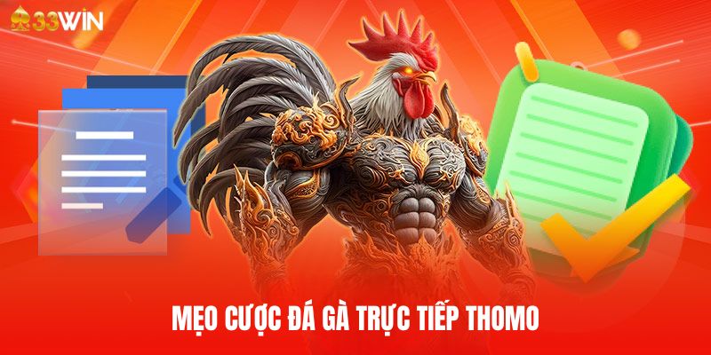 Kinh nghiệm cá cược đá gà trực tiếp Thomo